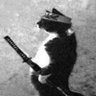 寸鉄 profil fotoğrafı