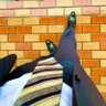 Profilbild von RAD(Foot)