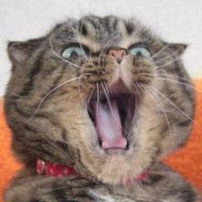 pafuhana1213's profile picture