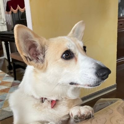 terra_sasaki's profile picture