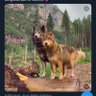 Ouchen71's profile picture
