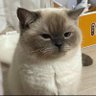 milfs step on me profil fotoğrafı