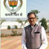 Anand Pareek 的头像