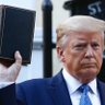 DonaldJesusTrump's profile picture