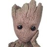 Profilbild von Feel your Groot