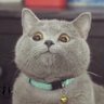 CatMaksiMUS's profile picture