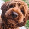 LeeG1964 profil fotoğrafı