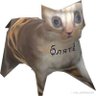 Фото профиля Deleg