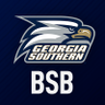 Georgia Southern Baseball ็ๅคดๅ