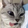 ohla_bibi profil fotoğrafı