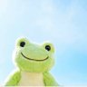 💚Kurousagi💚 profil fotoğrafı