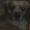 Jose's profile picture