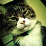 minmi my 🧑🤝🧑🧍🧑🤝🧑's profile picture