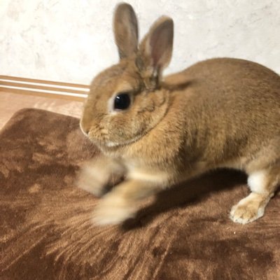 takeru43376794's profile picture