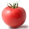 箕輪正成🍅 profil fotoğrafı
