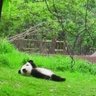 旁骛 profil fotoğrafı