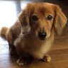 kiimu profil fotoğrafı