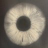 Dr Magic mushroom 🏴's profile picture