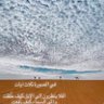 عبدالرحمن's profile picture