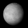 Profilbild von Rosetta