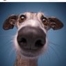 tevfik.ercan profil fotoğrafı