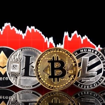 cryptoal3rt's profile picture