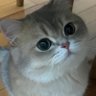 suon profil fotoğrafı