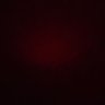 xX's profile picture