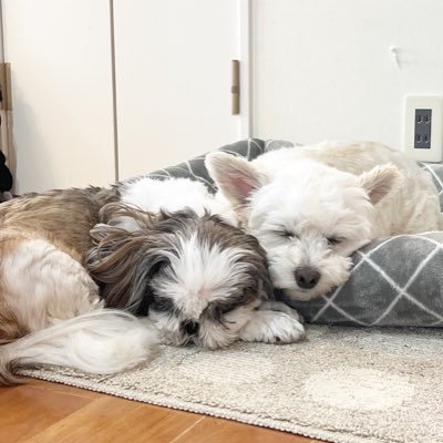 Axl W's profile picture