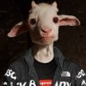 Profilbild von Stoney!