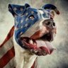Zoltan Ribar's profile picture