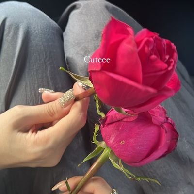زول خرافي's profile picture