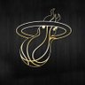 Miami Heat Fan's profile picture