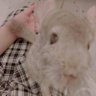 miyu's profile picture