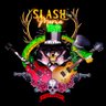 Slash Mania Brazil 🇧🇷 profil fotoğrafı