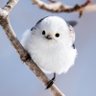 Profilbild von 豆豆