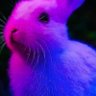 Enock Jr's profile picture