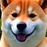パンはパンでも食べられないパンはパーンダ🐼's profile picture