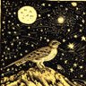 Profilbild von Nightjar