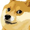 Mad doggo profil fotoğrafı