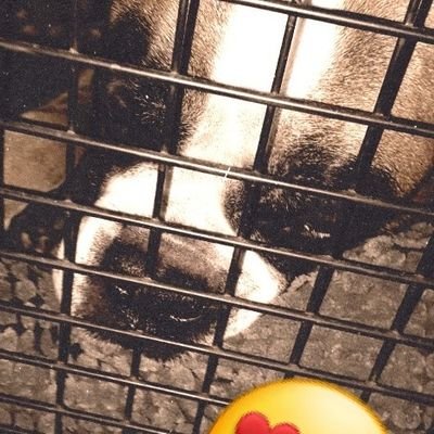Moon32550578's profile picture