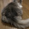 貧乏父さん 的头像