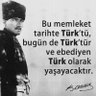 Türk 🇹🇷's profile picture
