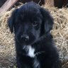 Profilbild von Kipling is my name