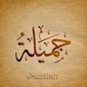 Adel Ibrahim's profile picture