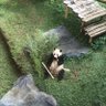 kenanganmu 的头像