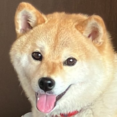 ichi_wanu's profile picture