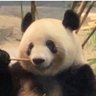 まんまる 的头像