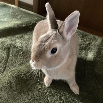 uuusagisaan0216's profile picture