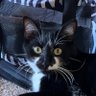 Billy Drama's profile picture